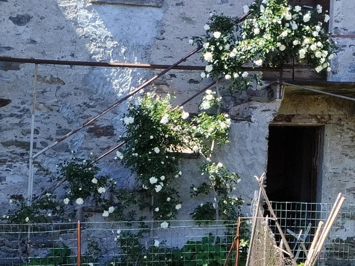 Il Forno Cossogno Exterior foto
